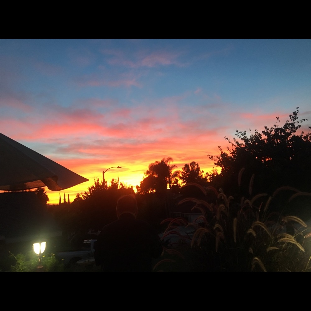 Meet your Posher, Isabella